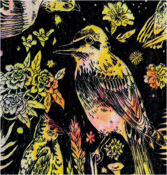 Untitled (Birds 2)