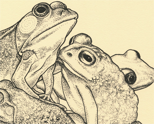 Frogknot print
